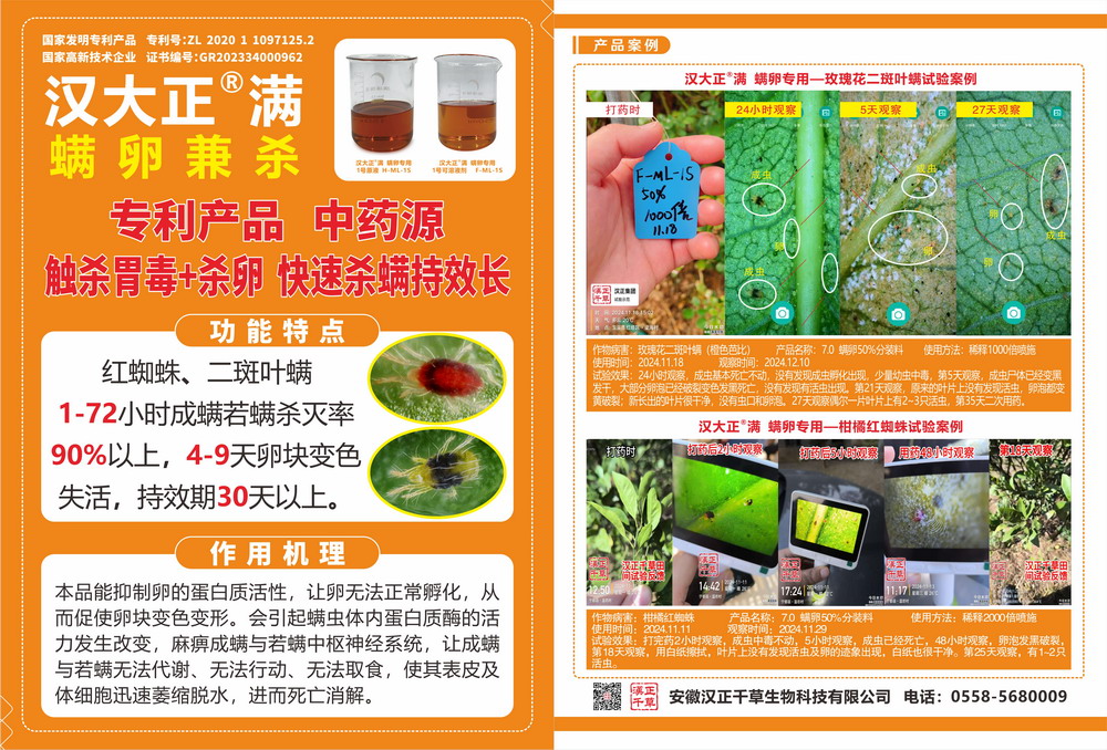 汉大正-满.jpg