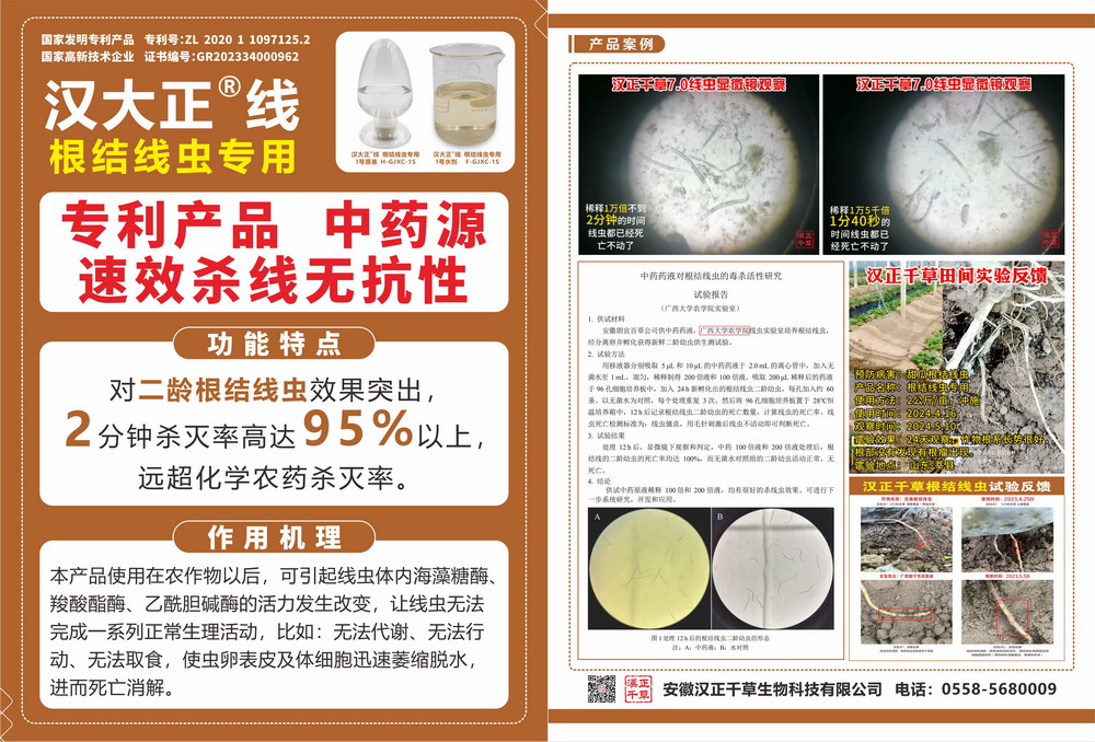 汉大正-线.jpg