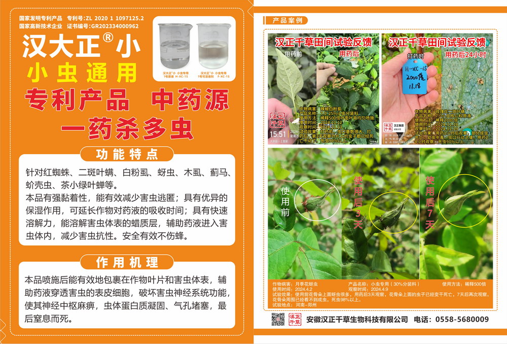 汉大正-小.jpg